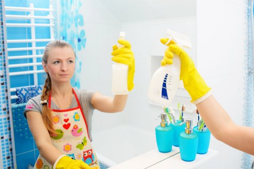 Carpet cleaning service terms and conditions introduction