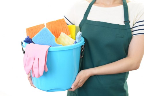 Professional carpet cleaning team in a London home setting