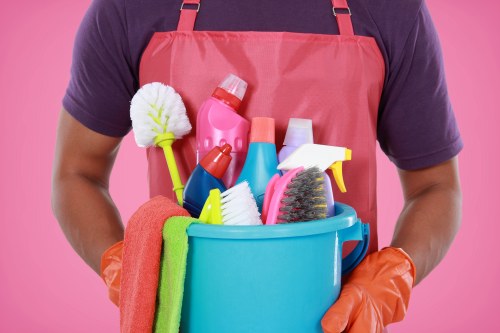 Local cleaners working in a London residential building