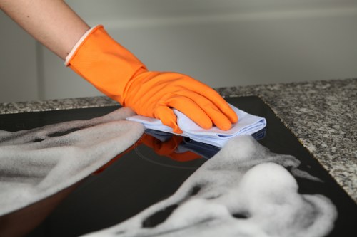Professional oven cleaning service for London homes and flats