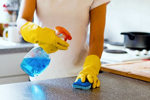 Detailed oven cleaning service removing grease from oven racks and trays