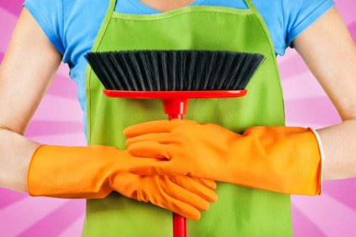 Carpet care methods and stain treatment illustration