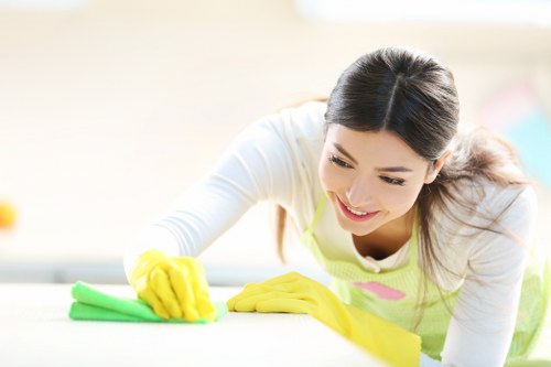 Professional carpet care for busy London properties