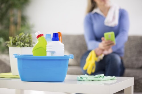Carpet cleaning tools and protective measures during a London service visit