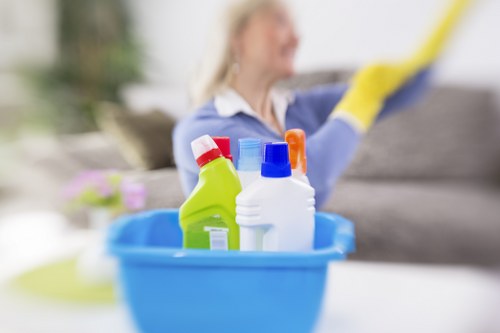 SSL encrypted payment process for carpet cleaning bookings