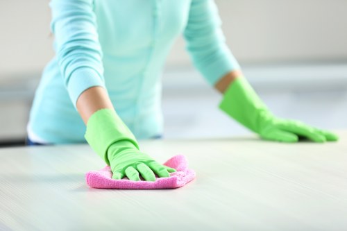 Neat and hygienic kitchen oven cleaning service in London