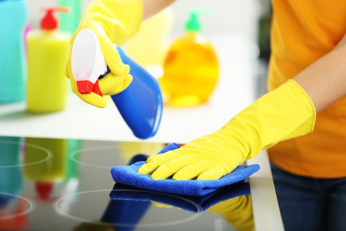 Deep cleaning of a kitchen at the end of a tenancy in London