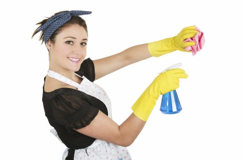 Oven cleaning appointment in a London home with limited access