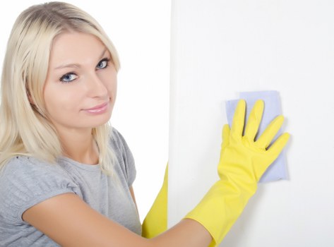 Rug and upholstery cleaning support image